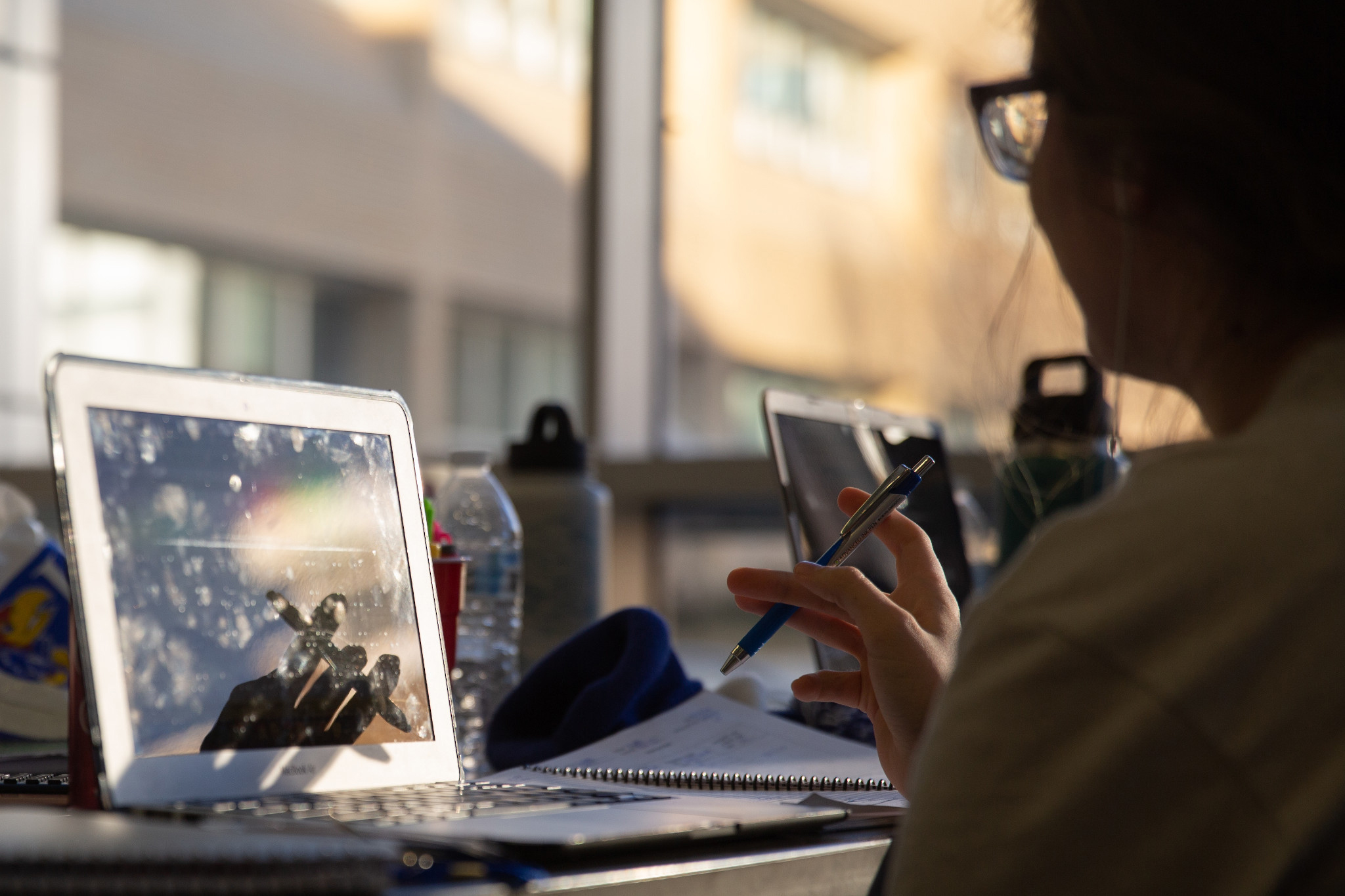 Staff working at a laptop