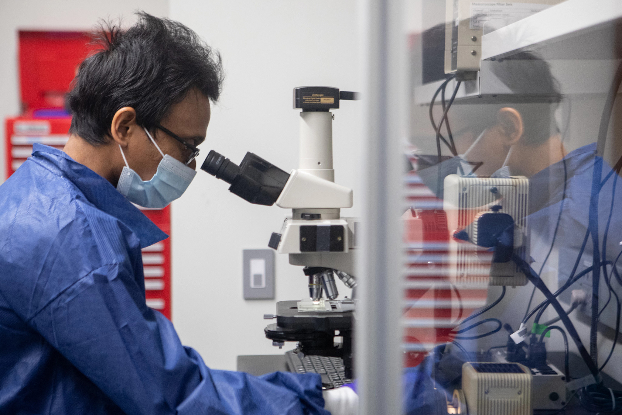 Researcher in a laboratory looking into a microscope